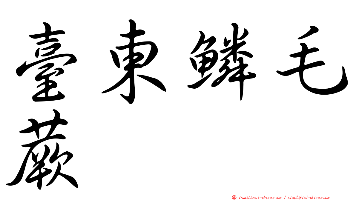 臺東鱗毛蕨