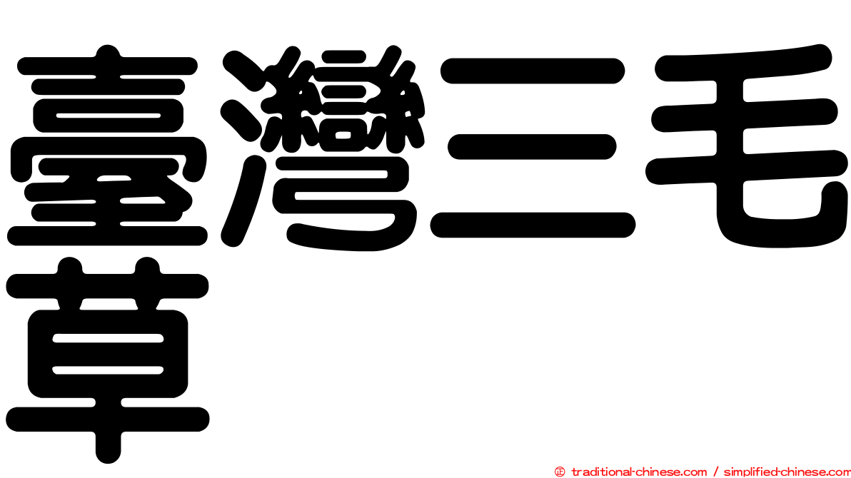 臺灣三毛草