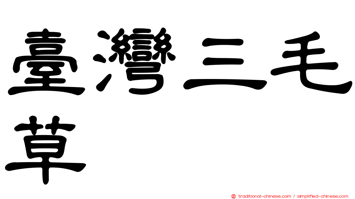 臺灣三毛草