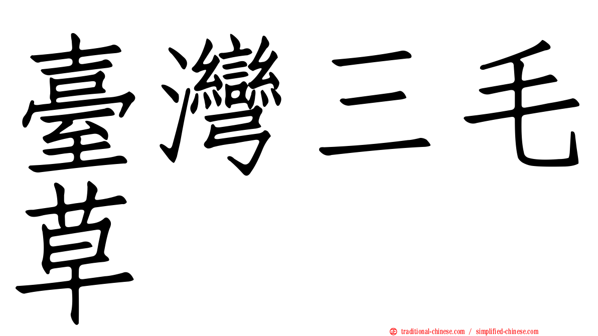 臺灣三毛草