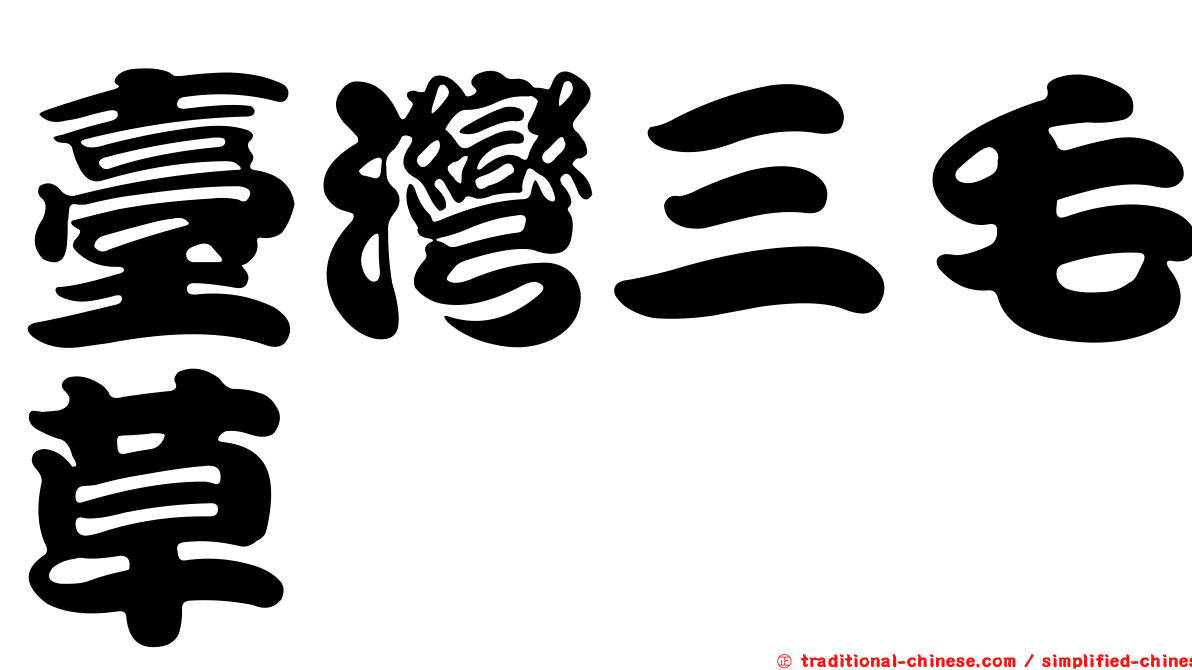 臺灣三毛草