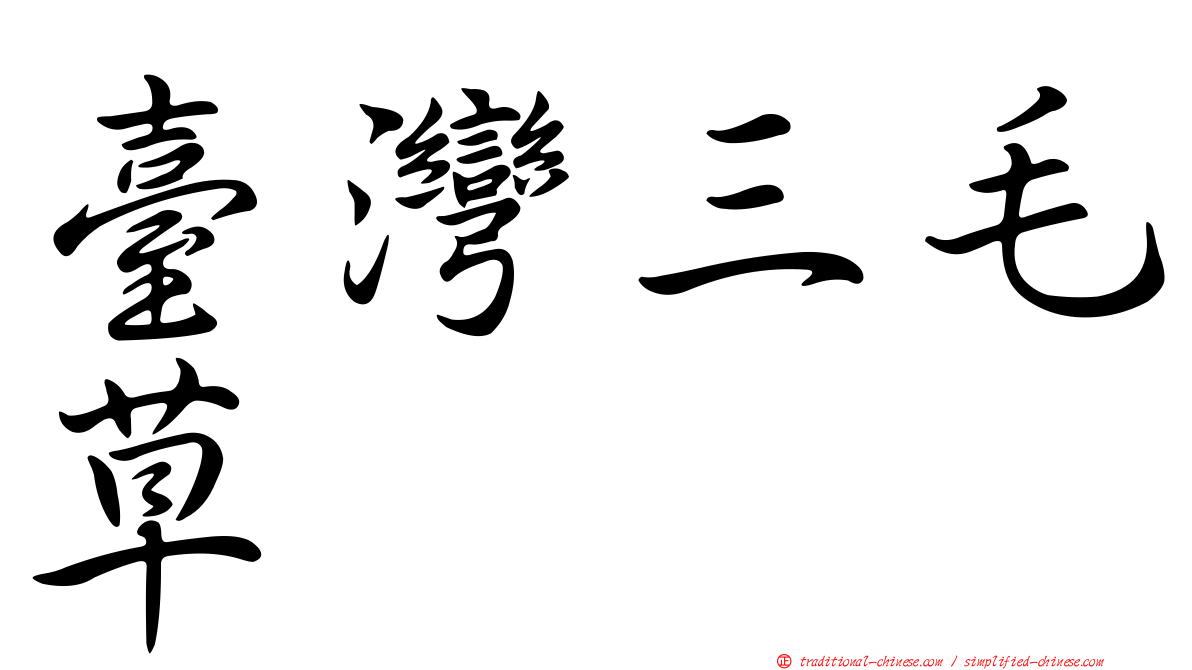 臺灣三毛草