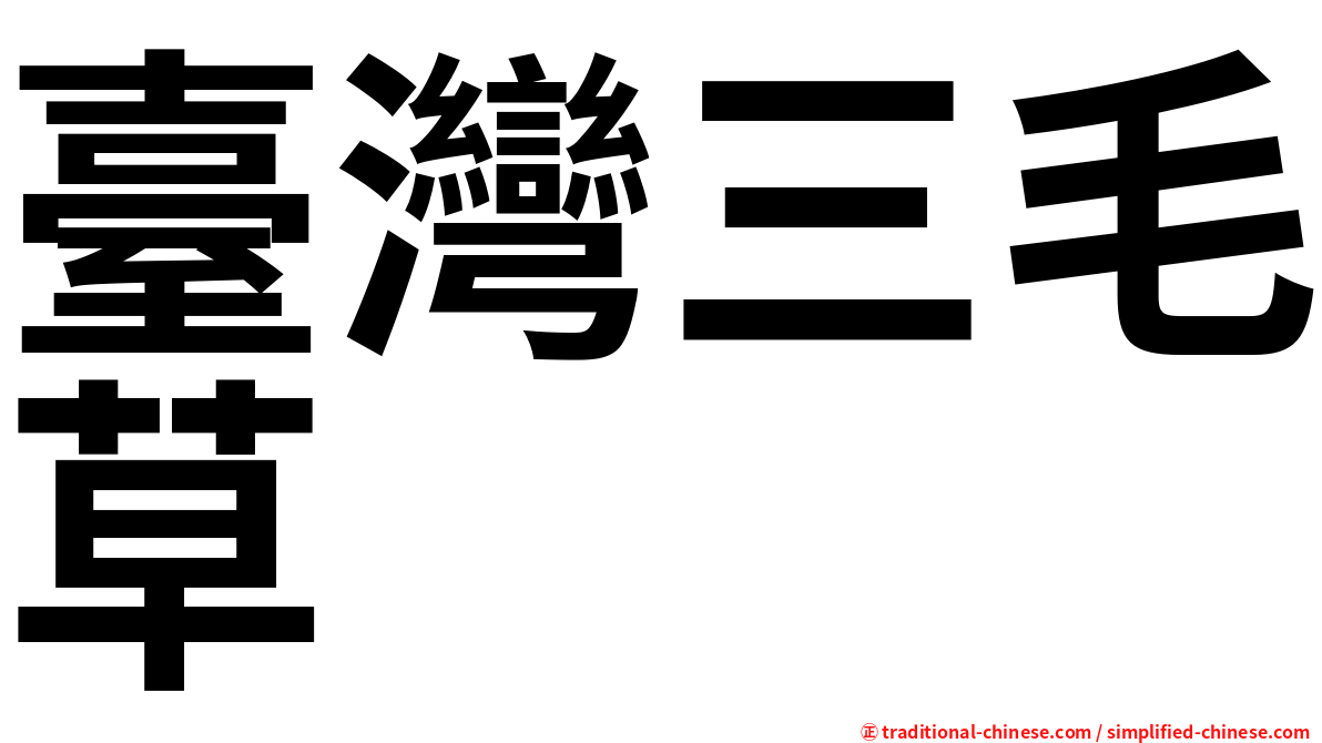 臺灣三毛草