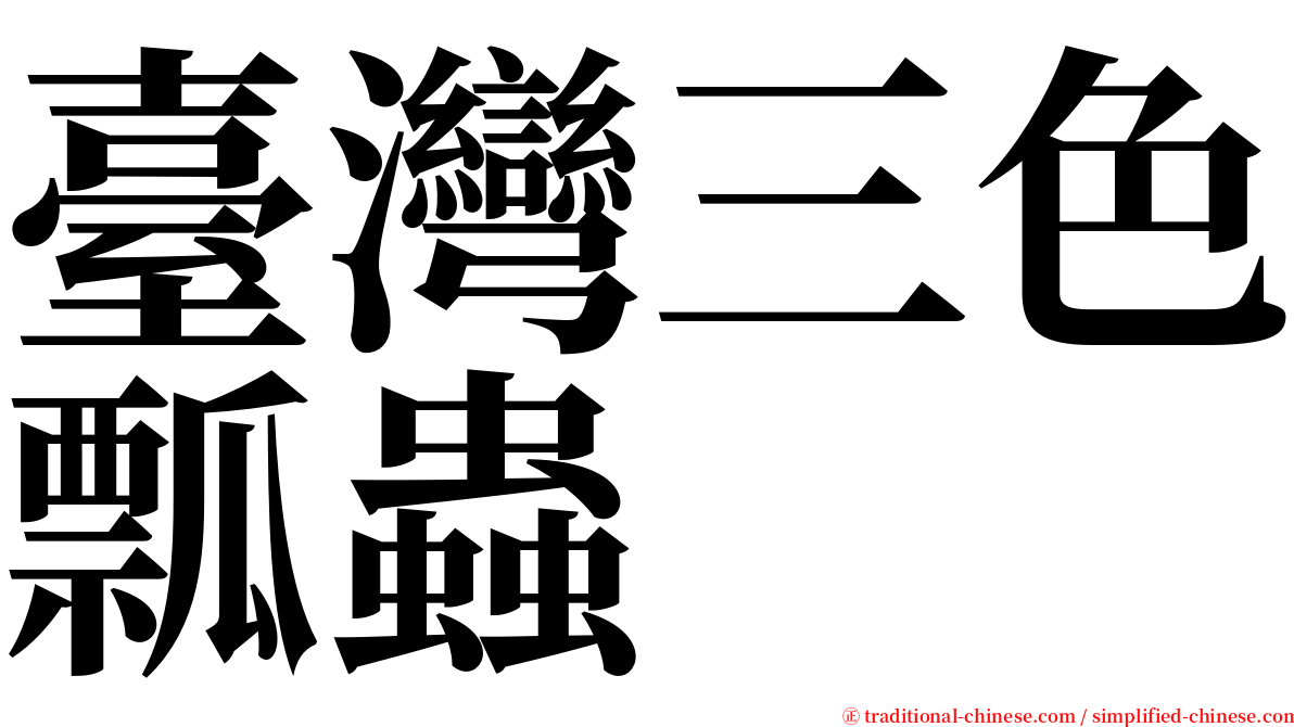 臺灣三色瓢蟲 serif font