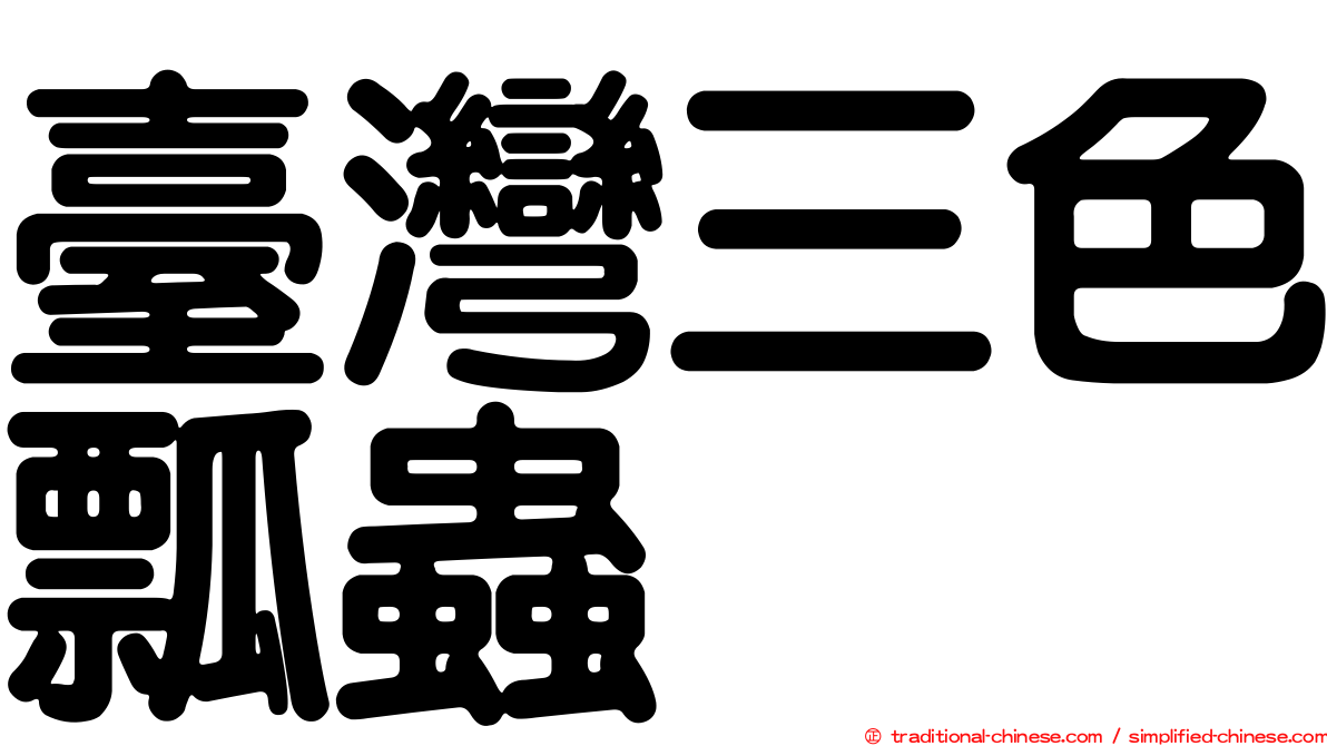 臺灣三色瓢蟲