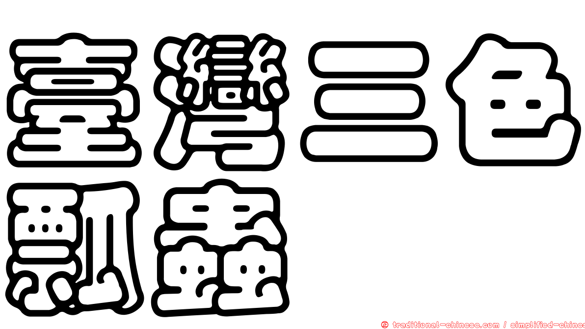 臺灣三色瓢蟲