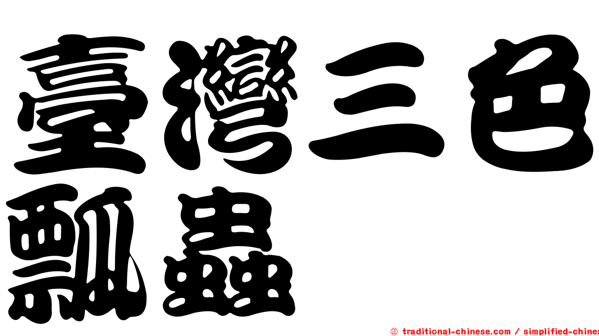 臺灣三色瓢蟲