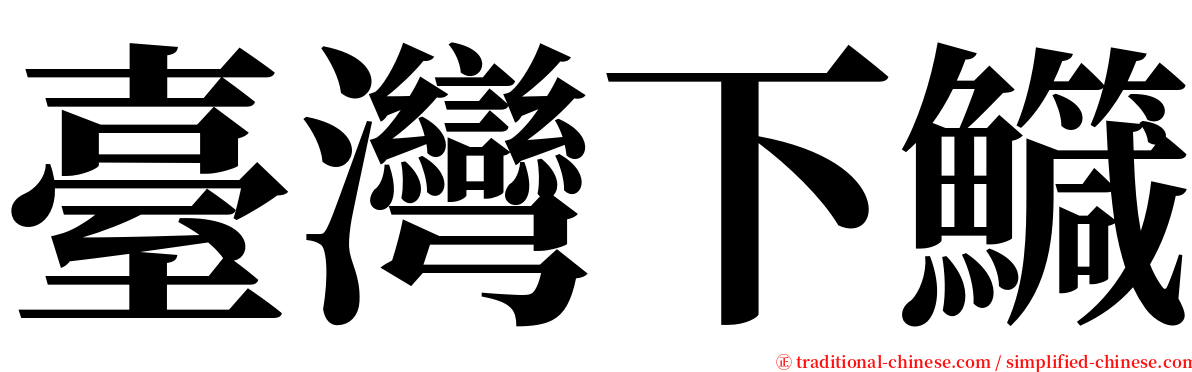 臺灣下鱵 serif font