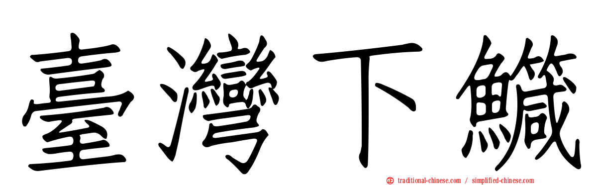 臺灣下鱵