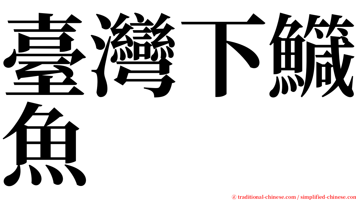 臺灣下鱵魚 serif font