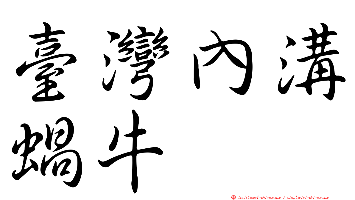 臺灣內溝蝸牛