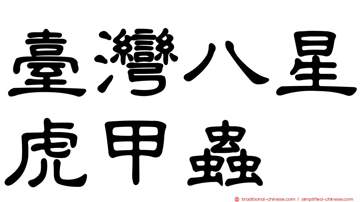 臺灣八星虎甲蟲