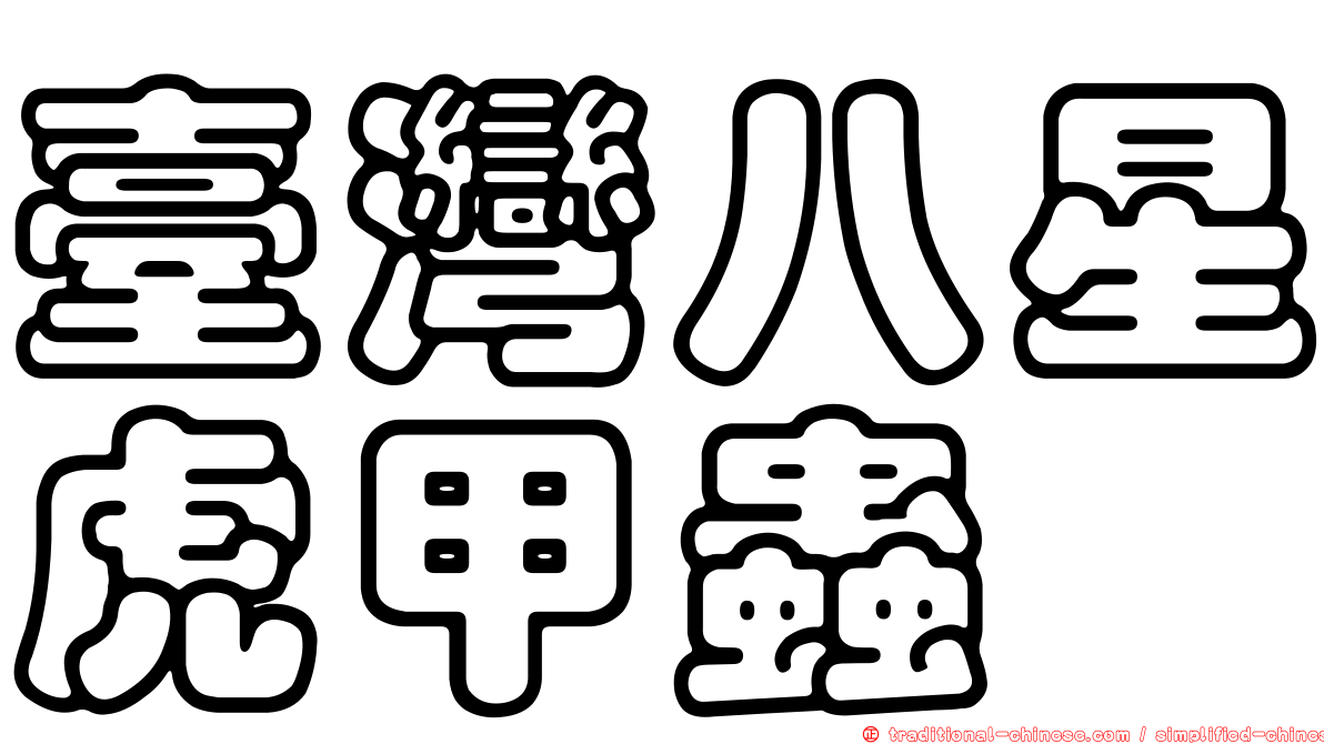 臺灣八星虎甲蟲