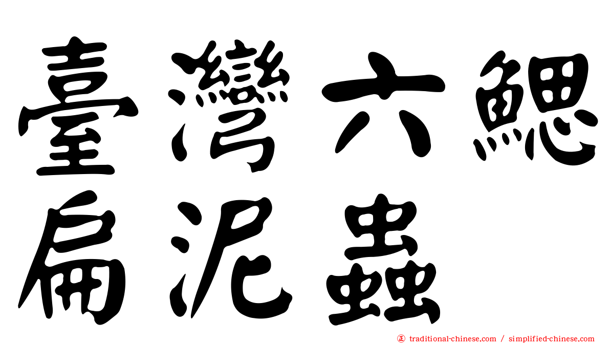 臺灣六鰓扁泥蟲