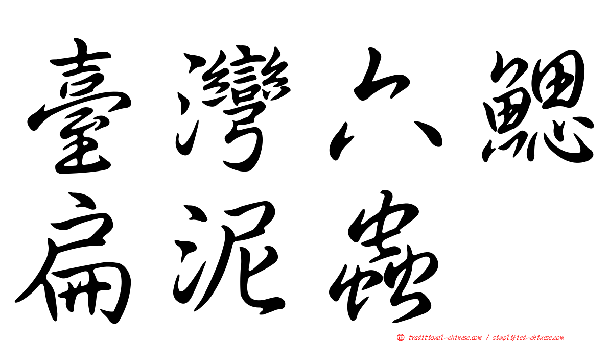 臺灣六鰓扁泥蟲