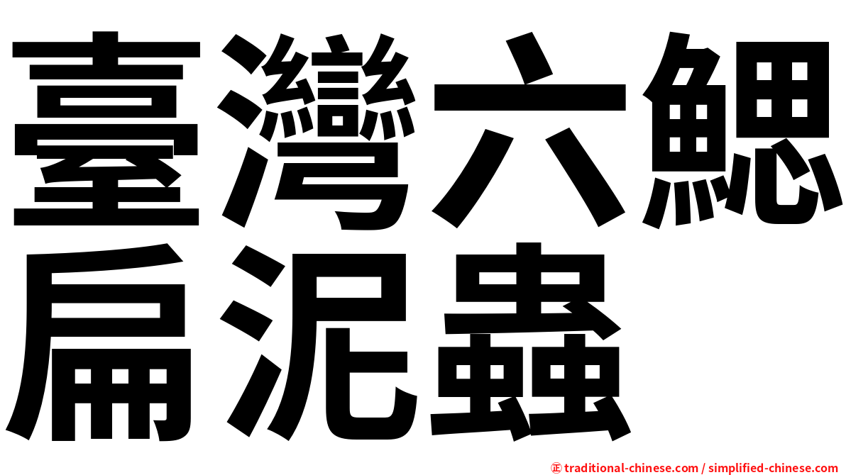 臺灣六鰓扁泥蟲