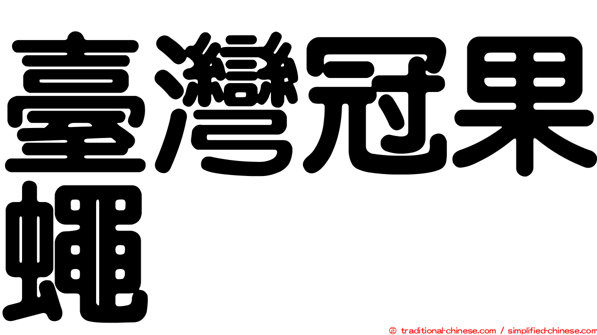 臺灣冠果蠅