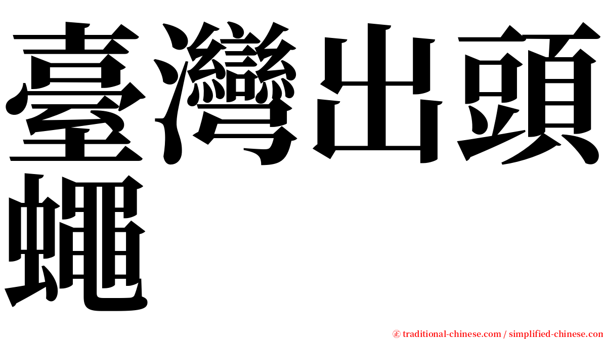 臺灣出頭蠅 serif font