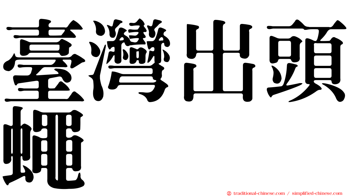 臺灣出頭蠅