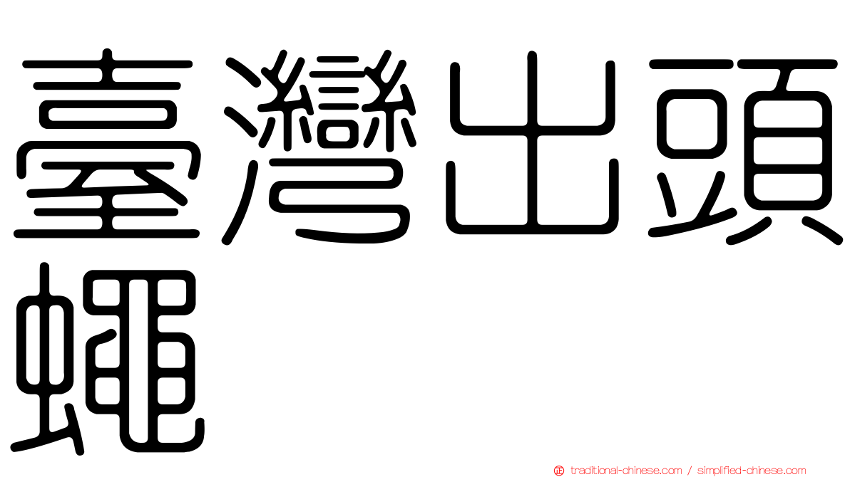 臺灣出頭蠅