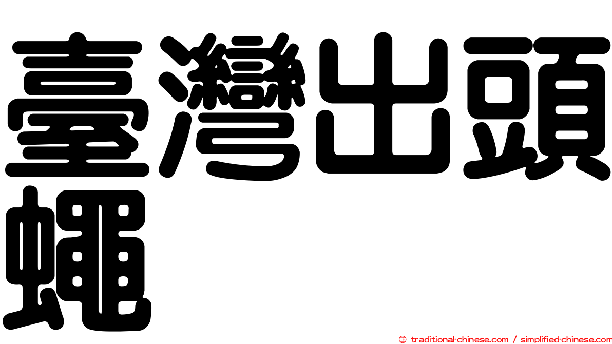臺灣出頭蠅