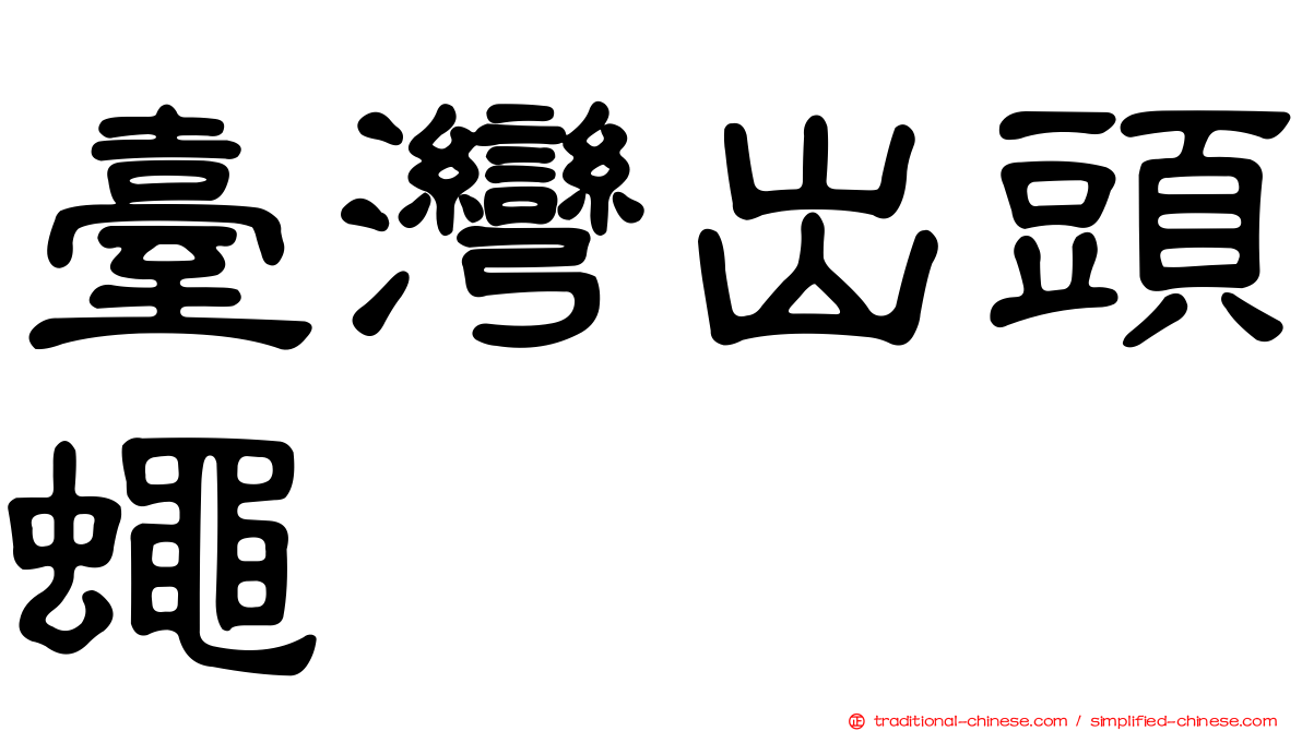 臺灣出頭蠅
