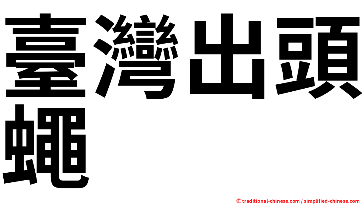 臺灣出頭蠅