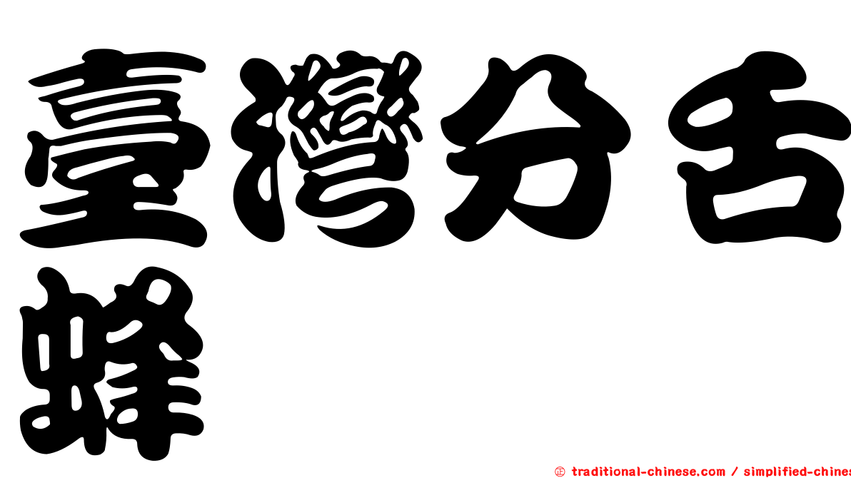臺灣分舌蜂
