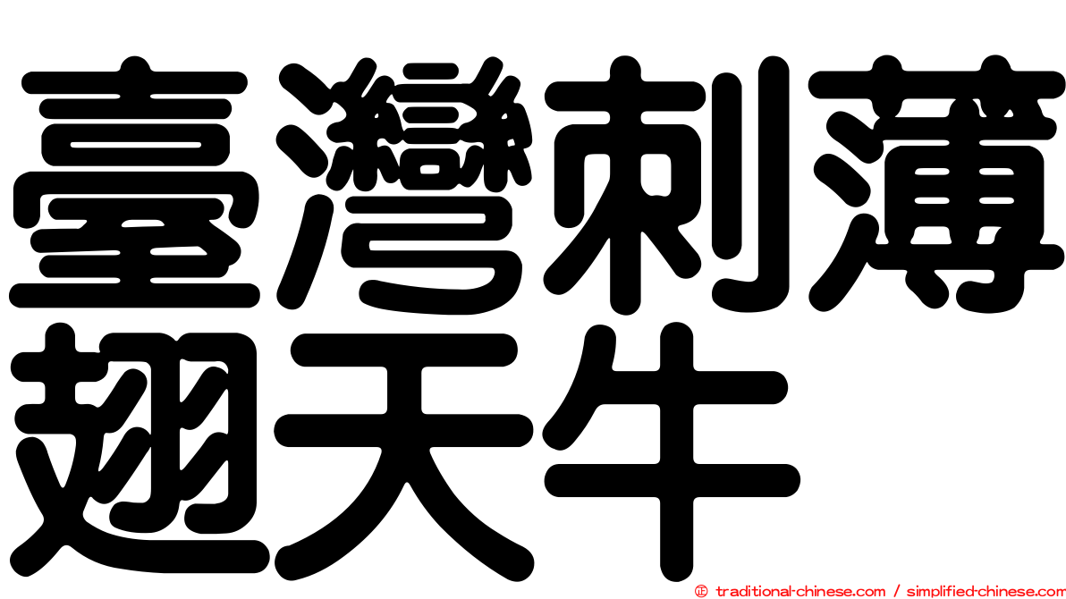 臺灣刺薄翅天牛