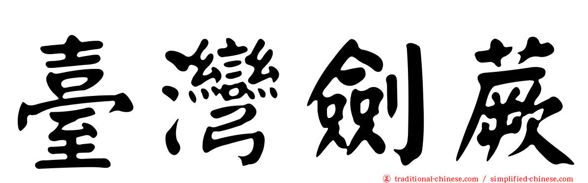 臺灣劍蕨