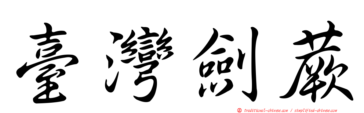 臺灣劍蕨