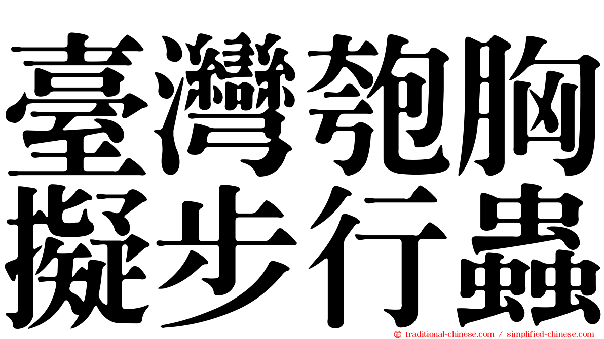 臺灣匏胸擬步行蟲