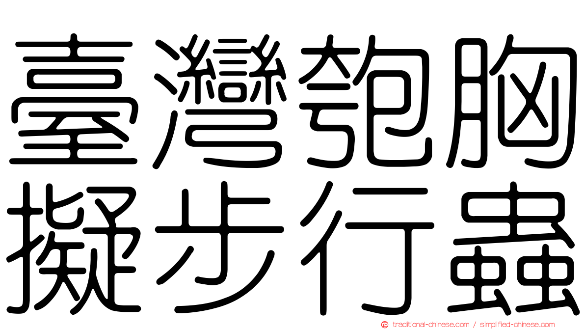 臺灣匏胸擬步行蟲