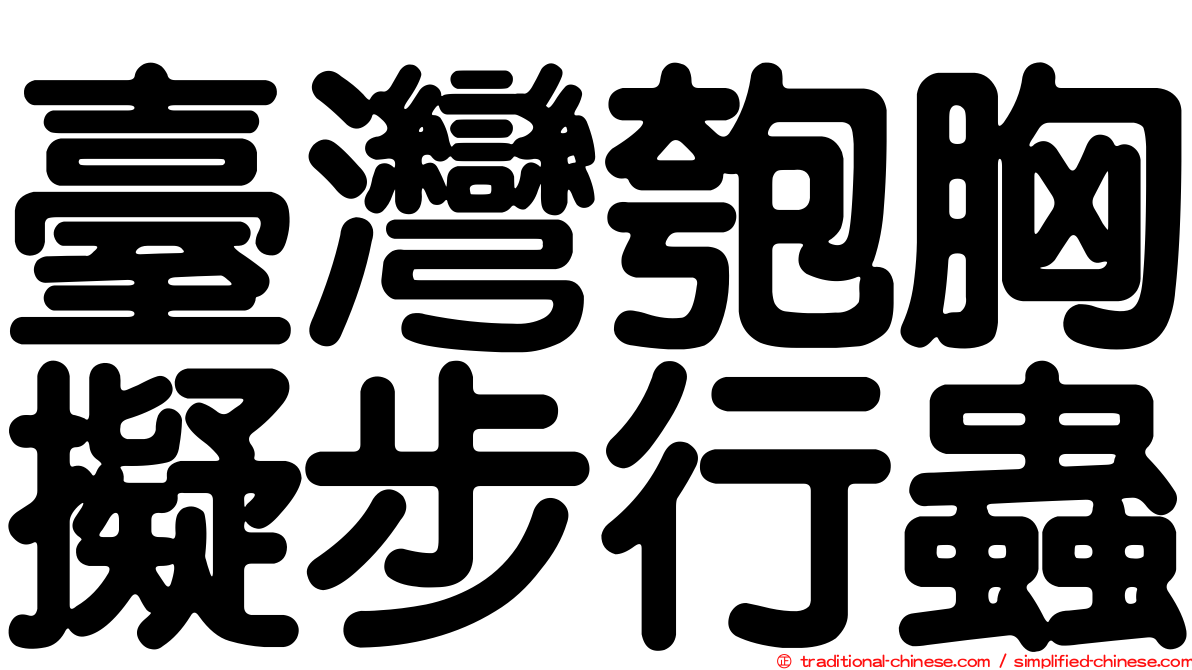 臺灣匏胸擬步行蟲