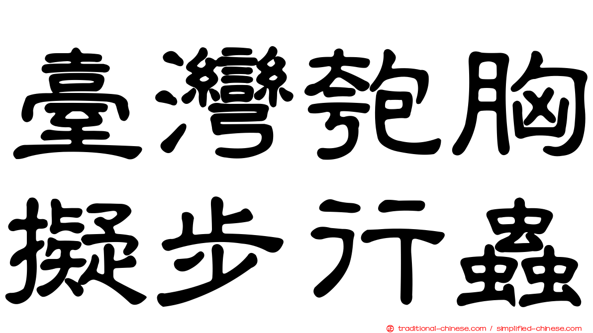 臺灣匏胸擬步行蟲
