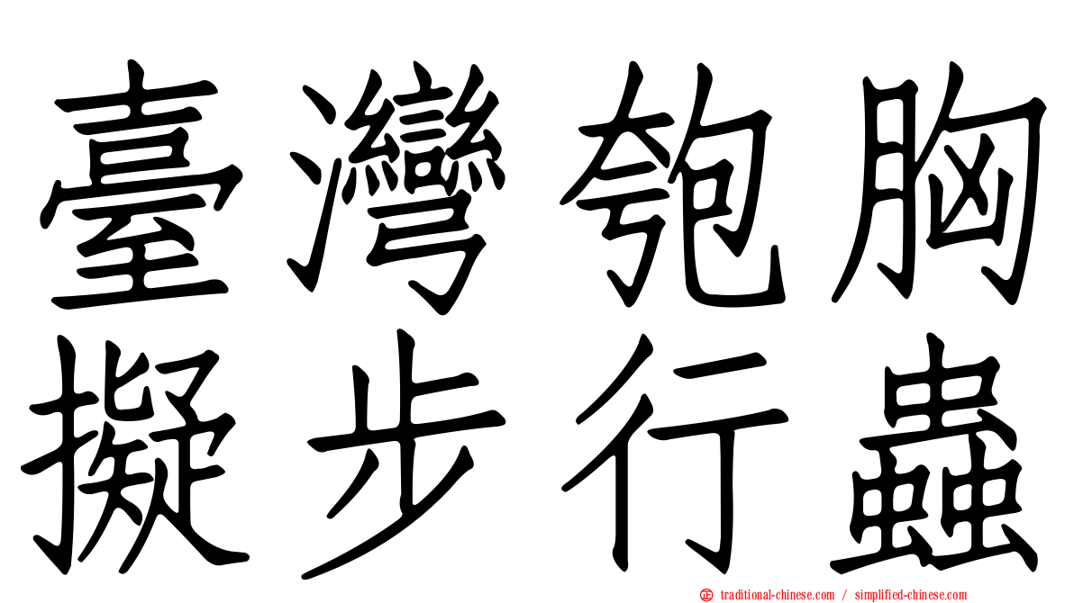 臺灣匏胸擬步行蟲