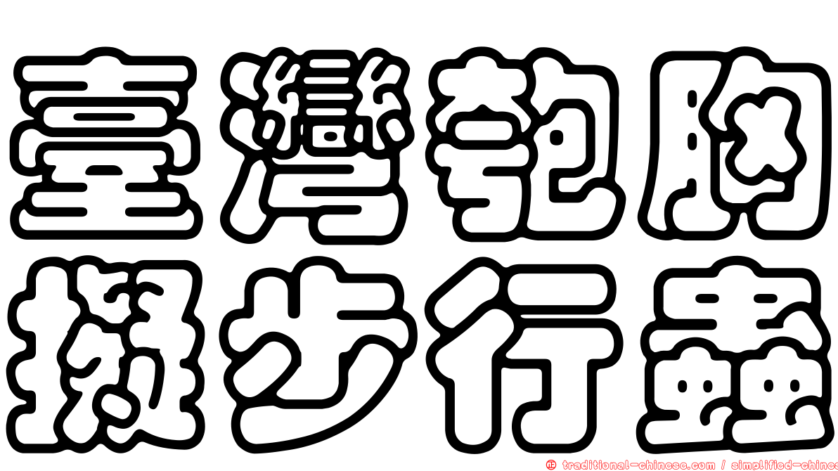 臺灣匏胸擬步行蟲