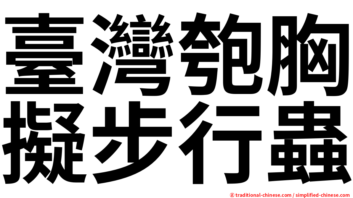 臺灣匏胸擬步行蟲