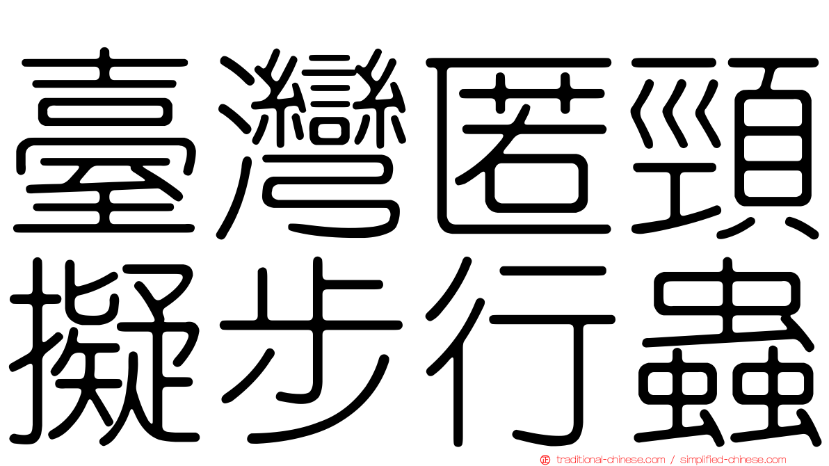 臺灣匿頸擬步行蟲
