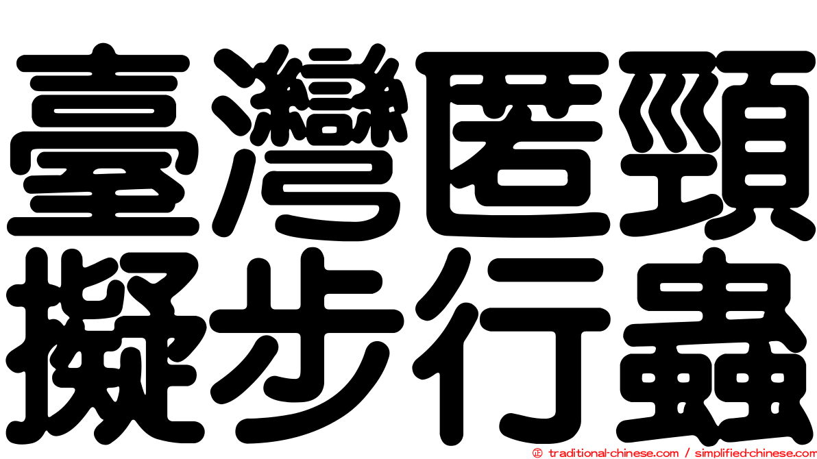 臺灣匿頸擬步行蟲