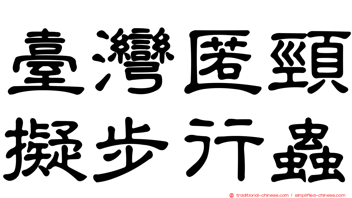 臺灣匿頸擬步行蟲