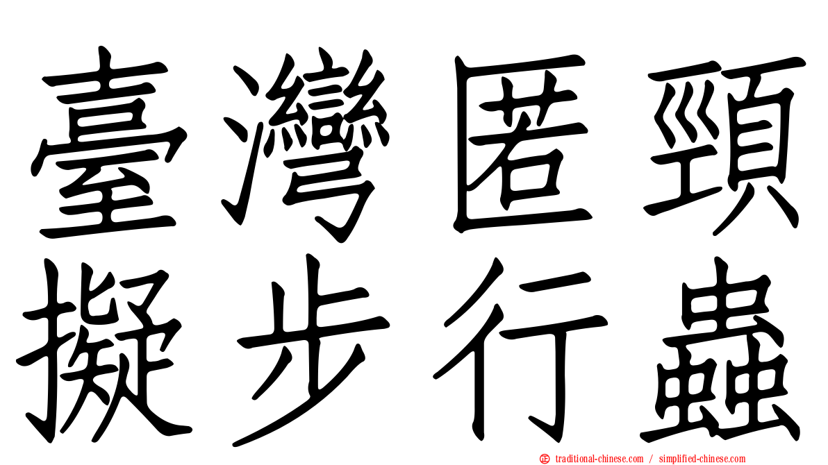 臺灣匿頸擬步行蟲