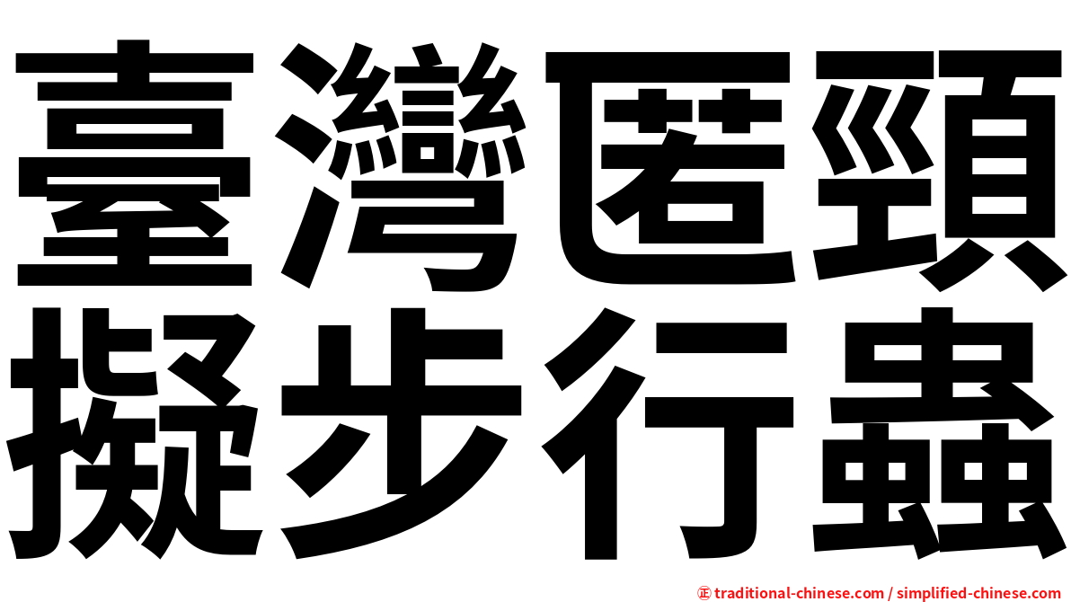臺灣匿頸擬步行蟲