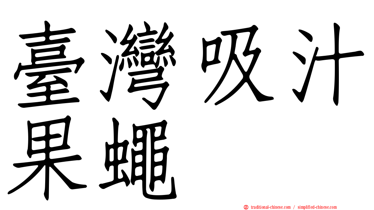 臺灣吸汁果蠅