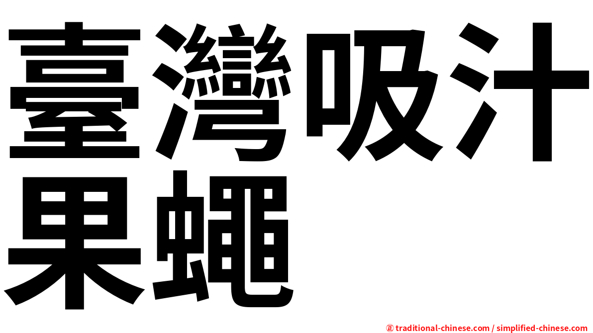 臺灣吸汁果蠅