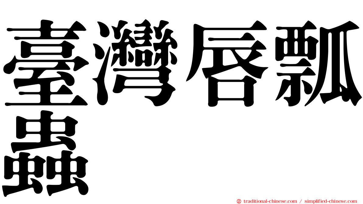 臺灣唇瓢蟲