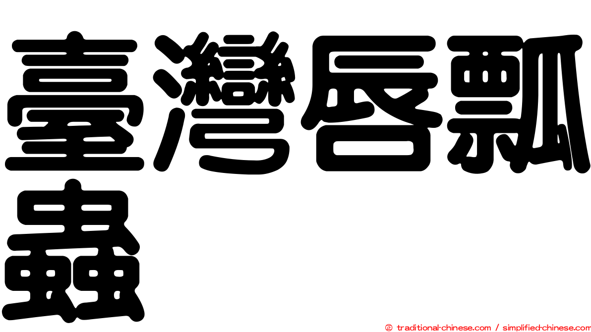 臺灣唇瓢蟲