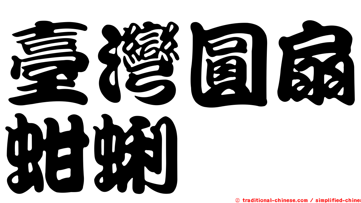 臺灣圓扇蚶蜊
