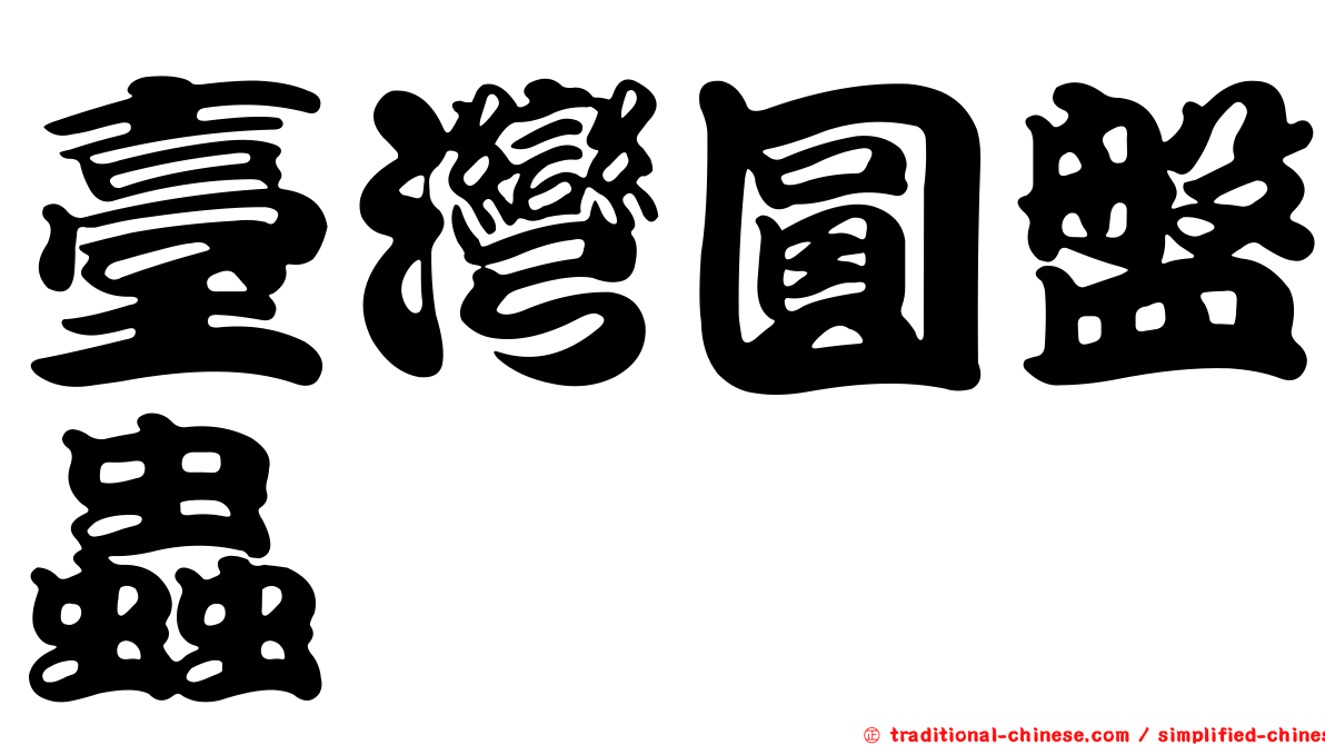 臺灣圓盤蟲