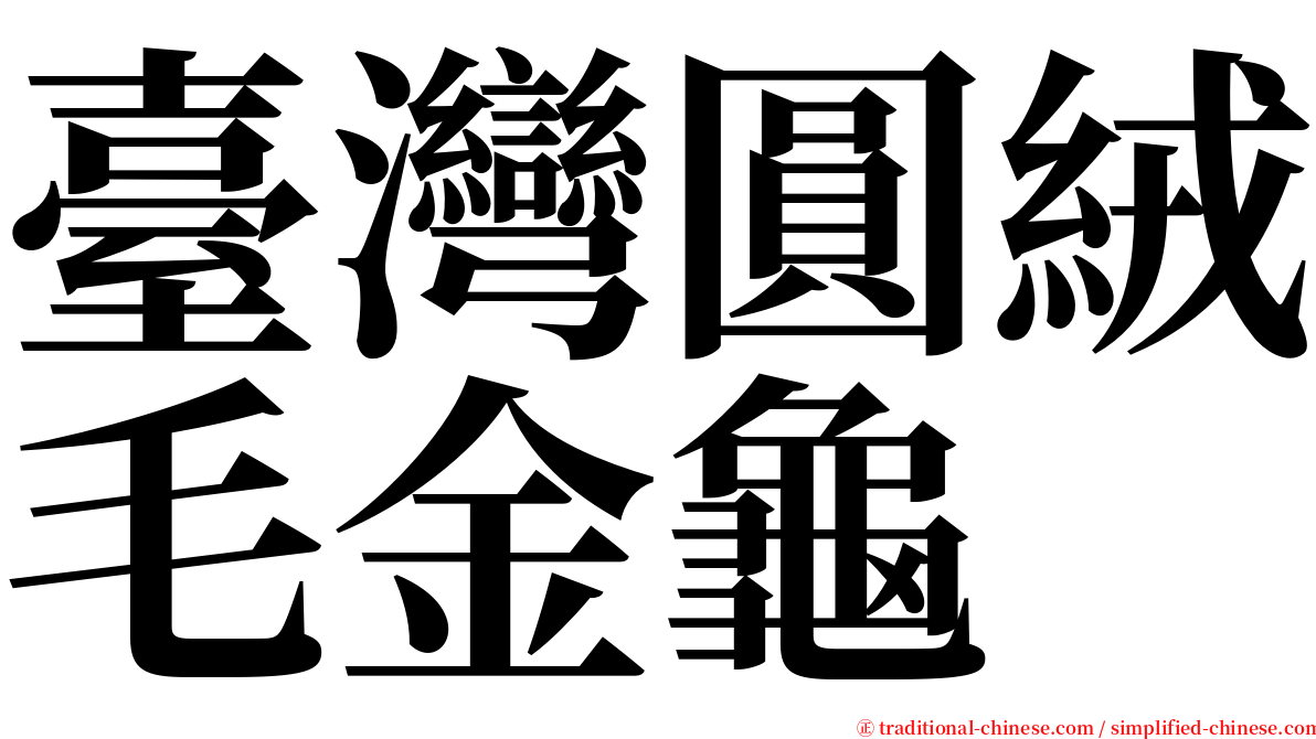 臺灣圓絨毛金龜 serif font